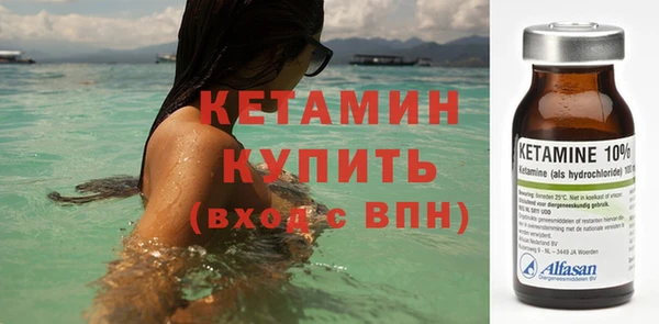 ешки Новодвинск