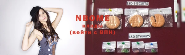 гидропоника Новозыбков