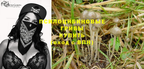 ешки Новодвинск