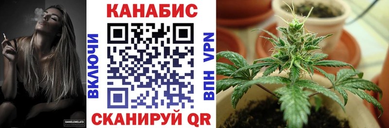 Бошки марихуана план  что такое наркотик  Калач 